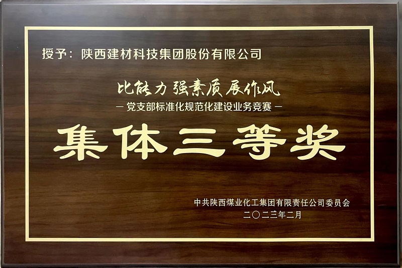 公司榮獲“黨支部標準化規(guī)范化建設業(yè)務競賽”集體三等獎