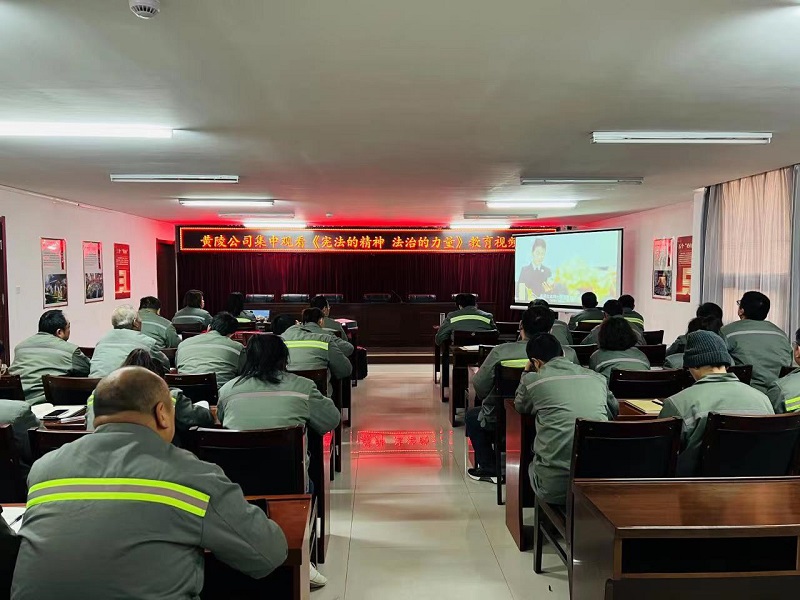 陜西建材科技集團(tuán)開展2022年“憲法宣傳周”活動
