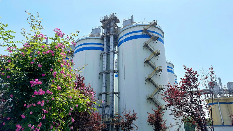 深耕“四種經營理念” 聽建材科技作答（第十二輯）